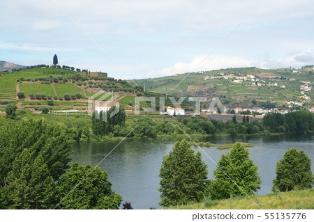 Portugal (landscape of Douro valley) Portugal (landscape of Douro valley) 55135776
