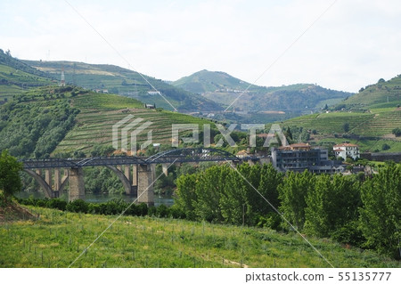 Portugal (landscape of Douro valley) Portugal (landscape of Douro valley) 55135777