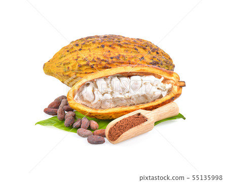 cocoa bean with powder on white background cocoa bean with powder on white background 55135998