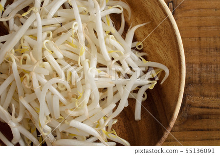 豆芽 55136091