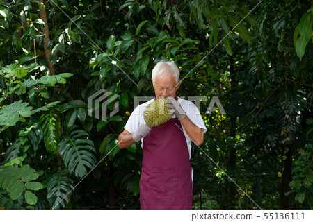 Farmer and musang king durian 55136111