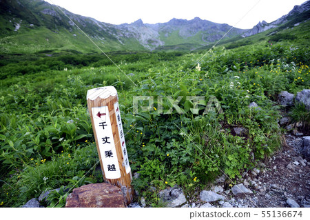 The Senjo Norikue branch of the Hashigatake Hidazawa course 55136674