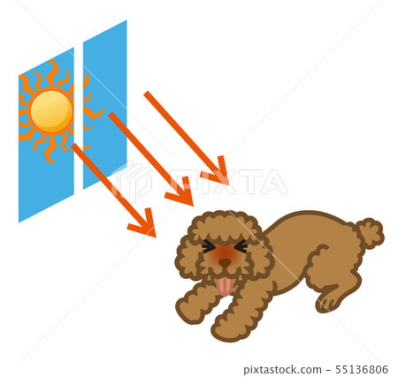 患有中暑的小型犬 - 室內直射陽光 55136806