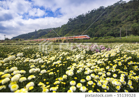 Florist and the Train Florist and the Train 55139328