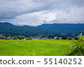Rice field with young shoots in Japanese province 55140252
