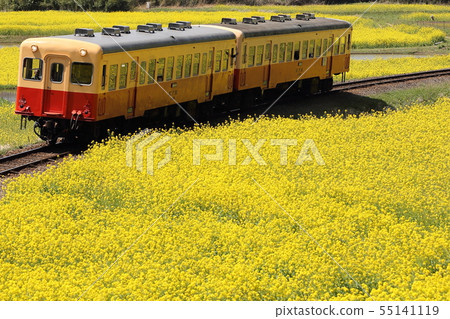 車窗充滿了春天。 55141119