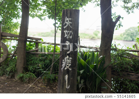 傳遞箭頭 傳遞箭頭 55141605