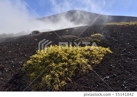 Mt. Fuji on the fifth leaf and Nakado Road Mt. Fuji on the fifth leaf and Nakado Road 55141842