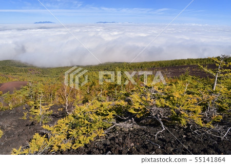 Yatsugatake山脈和Okuchichibu山脈到落葉松森林和秋葉的雲海附近富士山第5場比賽Nakado花園 55141864