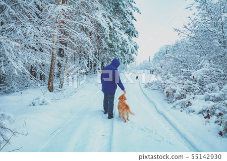 Man with Labrador retriever dog walking on the 55142930