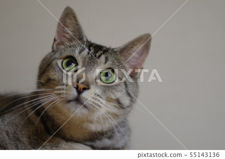 看 看 55143136