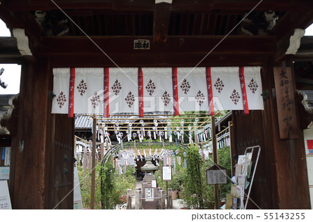 Oshusa Kannon Oshusa Kannon 55143255
