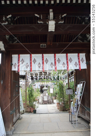 Oshusa Kannon Oshusa Kannon 55143256