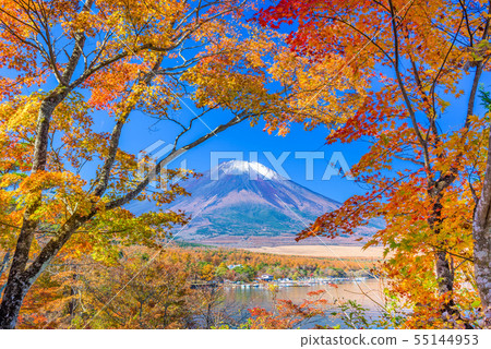Mt. Fuji, Japan with Fall Foliage 55144953