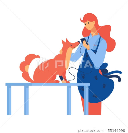 Isolated on white background flat scene with dog Isolated on white background flat scene with dog 55144998