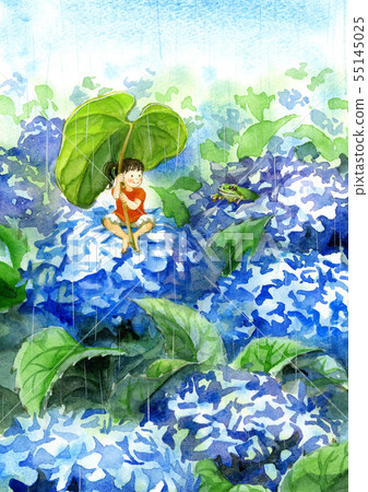 Hydrangea and frog 55145025