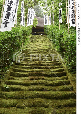 青苔台階在鎌倉·杉本寺廟 55145236