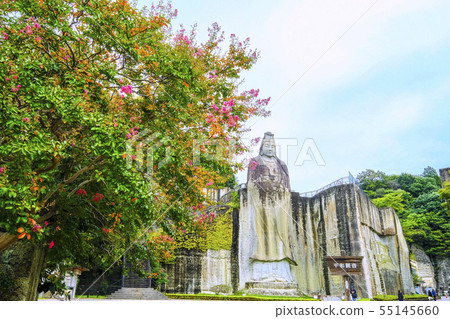 Salisbury and Peace Kannon 55145660