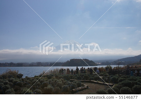 Mount Fuji  55146877