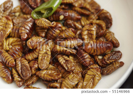 韓國美食pondegi 55146966