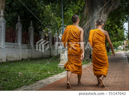 Back side image of two monks 55147042