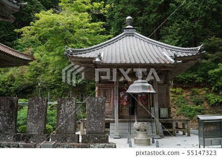 [四國88寺]第43號明石寺大志堂和新鮮的綠色愛媛縣西陽市 55147323