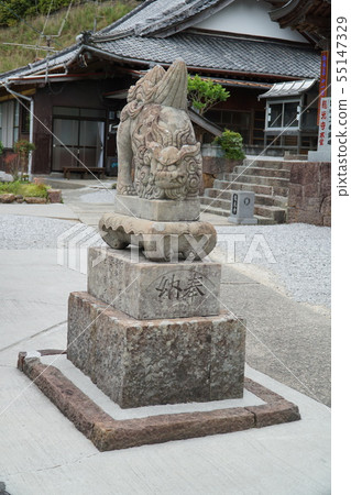 [四國88寺]愛媛縣宇和島市龍光寺境內的41號Ungata Komainu 55147329