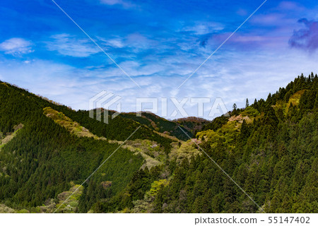 Image photo Image photo 55147402