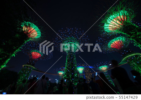Gardens by the Bay Supertree Grove night view 55147429
