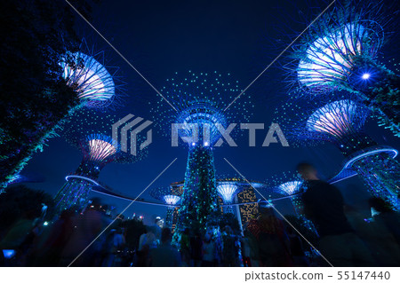 Gardens by the Bay Supertree Grove night view 55147440