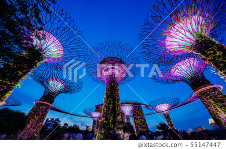 Gardens by the Bay Supertree Grove night view 55147447