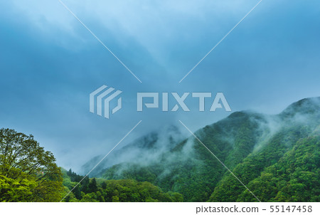 Image photo 55147458