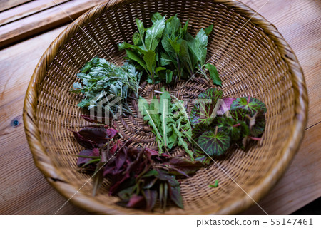 Image photo Image photo 55147461