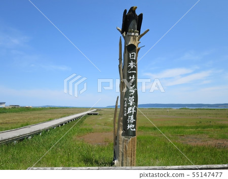 Nogei 55147477