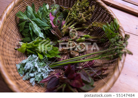 圖片照片 圖片照片 55147484