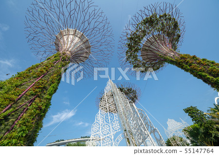 新加坡濱海灣公園Supertree Grove 新加坡濱海灣公園Supertree Grove 55147764