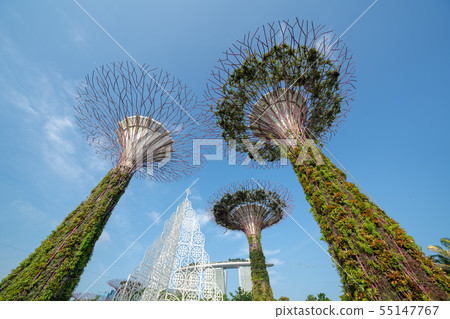 Singapore Gardens by the Bay Supertree Grove 55147767