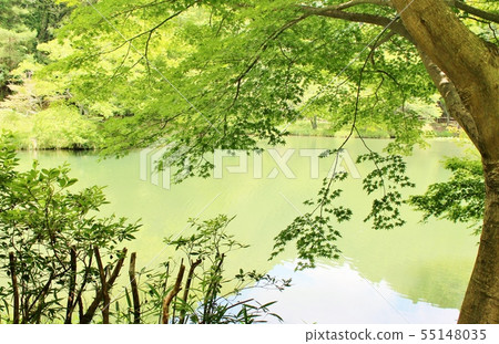 Waterside 55148035
