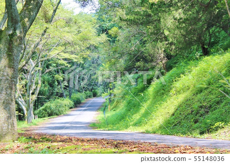 Walk Enjoy the nature! Walk Enjoy the nature! 55148036