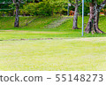 Landscape of campground 55148273