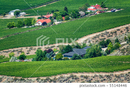 Farm lands landscape in Okanagan valley on summer 55148446