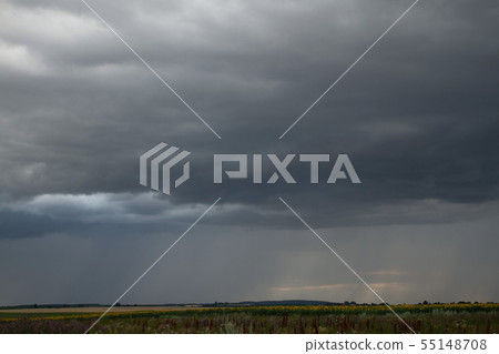 Storm Sky Storm Sky 55148708