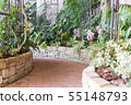 Image of garden 55148793
