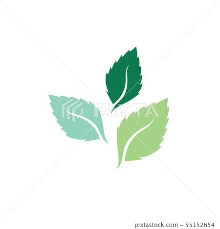 Mint leaves flat vector color icon - Stock Illustration [55152654] - PIXTA