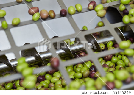 Olive pressing work Cleaning machine Olive oil making Olive pressing work Cleaning machine Olive oil making 55155249