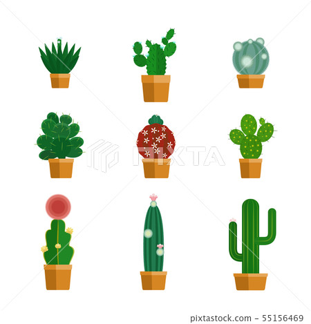 Cactus icons in flat style 55156469