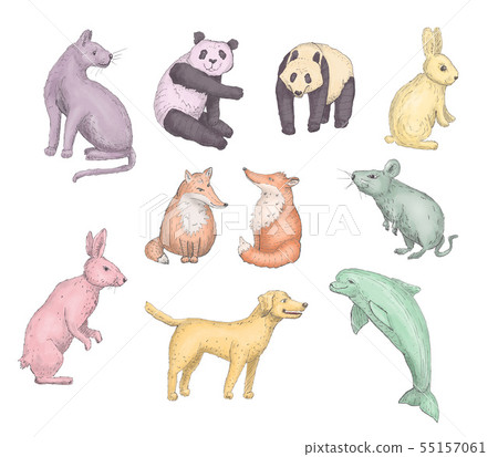 set of animals set of animals 55157061