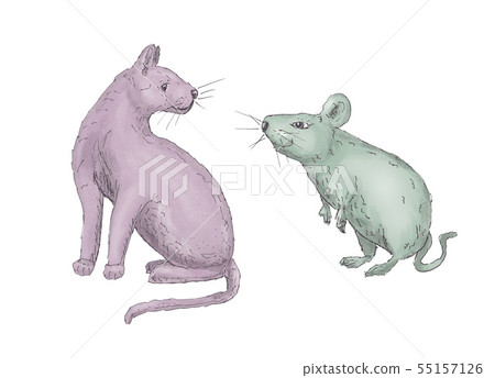 hand drawn cat and mouse 55157126