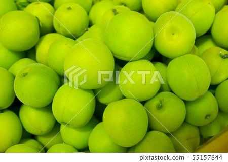 plum plum 55157844