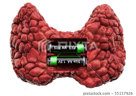 Human thyroid with batteries Human thyroid with batteries 55157926